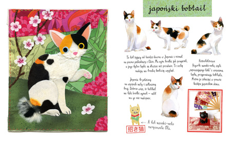 Mały atlas kotów (i kociaków) Ewy i Pawła Pawlaków wyd. 2022