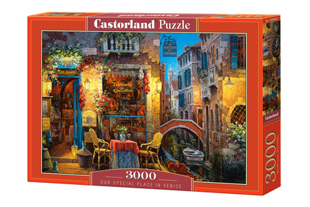 Puzzle 3000 Nasze specjalne miejsce w Wenecji C-300426-2