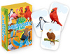 Gra Memory Ptaki mini