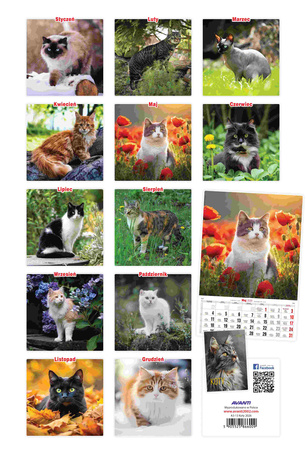 Kalendarz 2026 A3 koty A3-13