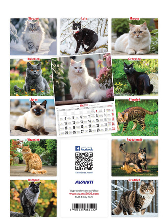 Kalendarz 2026 Koty KSM-4