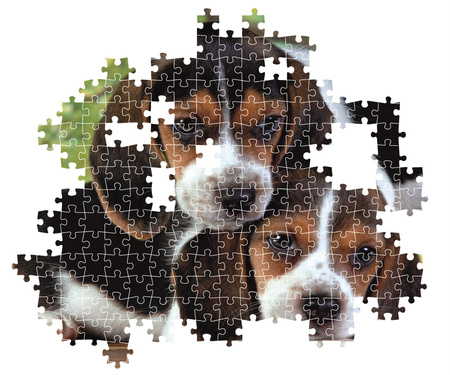 Puzzle 500 Compact Close Together 35536