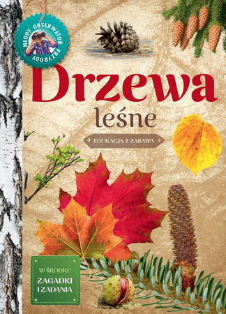 Drzewa leśne. Młody Obserwator Przyrody