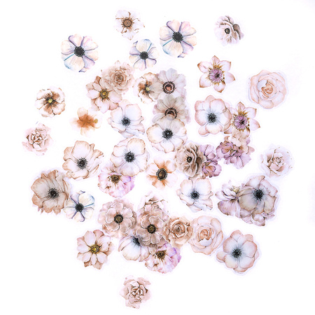 Naklejki Pet Kwiaty pastelowe 50 szt.