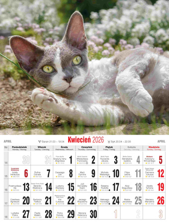Kalendarz 2026 Koty KSMS-4