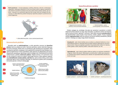 Biologia. Nowe Repetytorium. Szkoła podstawowa wyd.2025