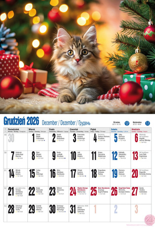 Kalendarz 2026 ścienny albumowy Kocie fanaberie KSA V2