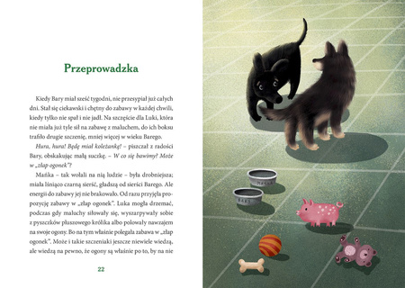 Bury i Bary. Wilk z lasu i pies ze schroniska