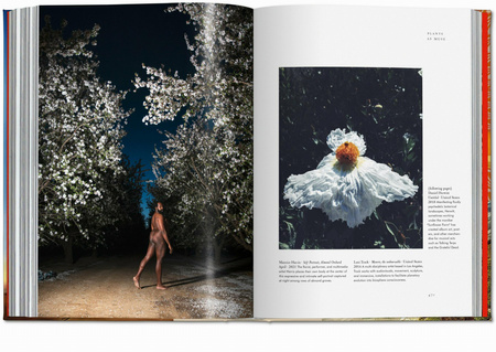 Plant Magick. The Library of Esoterica wer. angielska