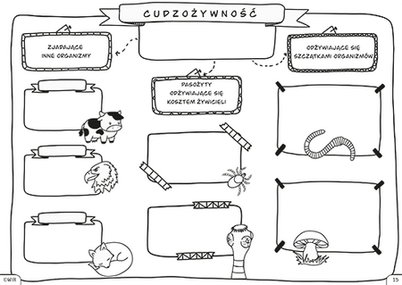 Biologia Graficzne karty pracy dla klasy 5