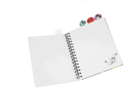 Kołobrulion A5 Disney fashion Minnie 100 kartek 1szt. mix