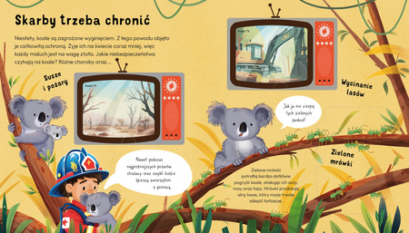 Nie jestem misiem. Fakty o zwierzętach. Młodzi przyrodnicy