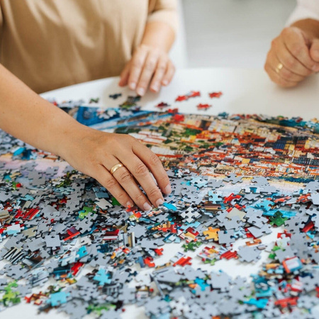 Puzzle 1000 Premium Plus Ogród dla ptaków 10806
