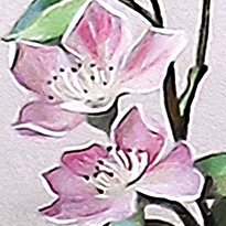 Puzzle 1000 CherryPazzi Glamour Bouquet 30134