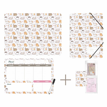 Zestaw szkolny z nadrukiem kittens