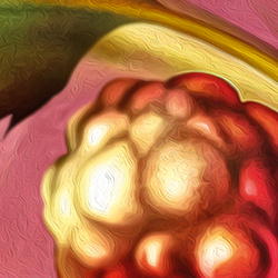 Puzzle 1000 CherryPazzi Tropic Spirits Cockatoo 30462