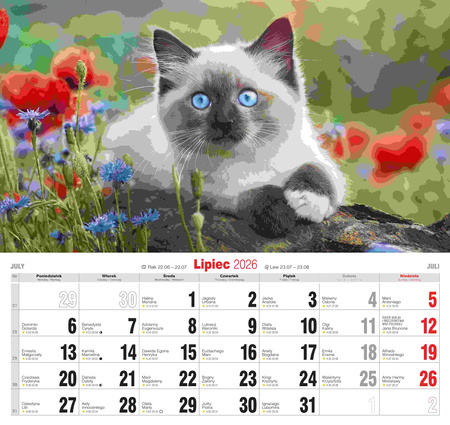Kalendarz 2026 Koty KD-21