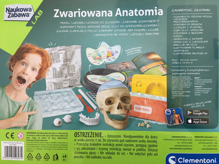 Zestaw kreatywny Zwariowana anatomia 50697