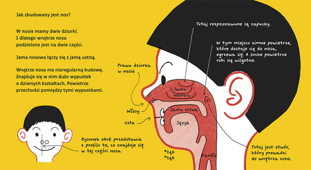 Dziurki w nosie wyd. 2