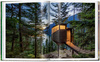 Modern Tree Houses