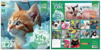 Kalendarz 2026 classic Koty kotki i kociaki