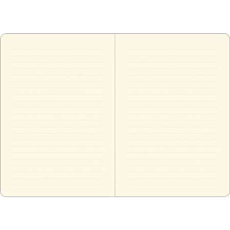 Notatnik B6 Mini Eukaliptus Peter Pauper Press