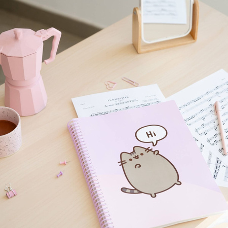 Skoroszyt A4 z gumką Pusheen CFA405 30 kartek