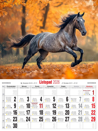 Kalendarz 2026 Konie KSM-5