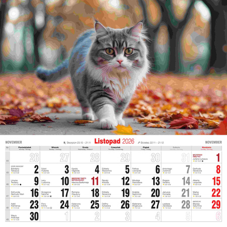 Kalendarz 2026 Koty KD-21