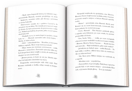 Horse Club Niesamowity Jeździec CBH-8401