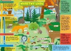 Podkładka na biurko dwustronna B3 warstwy lasu i łąka
