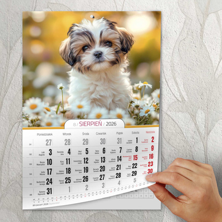 Kalendarz 2026 Milusińscy A4 ścienny