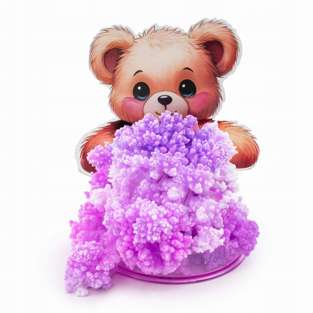 Magiczny krystaliczny Miś Kidea