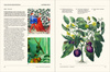 The Secret Language of Plants