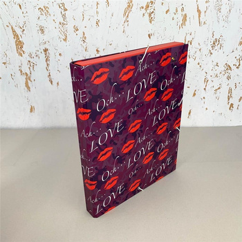 Teczka box A4 na gumkę moderno love