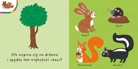 LAS. Mój kolorowy quiz