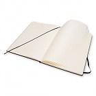 Szkicownik Moleskine A4 (21x29,7cm) czarny