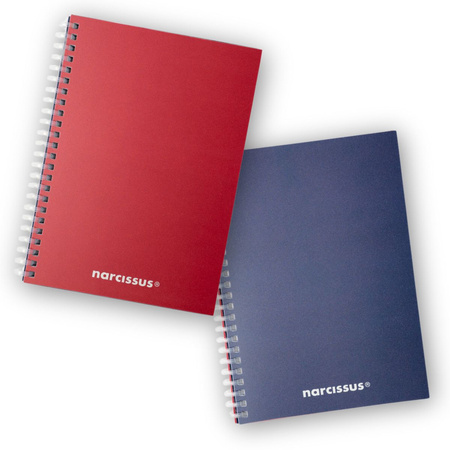 Kołonotatnik  A5 80k. kratka SWING Mono BG