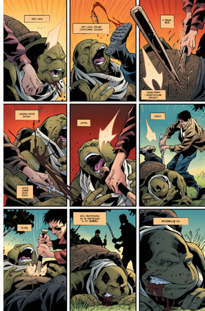 Ostatni Ronin. Nieznane lata. Wojownicze żółwie Ninja