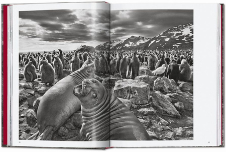 Sebastião Salgado. Genesis wer. angielska