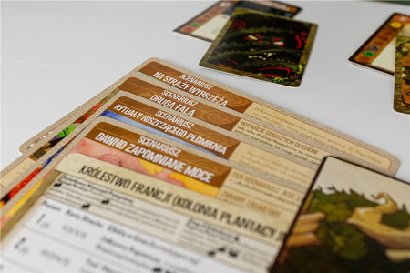 Gra Spirit Island Zarośla i Szpony dodatek