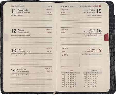 Kalendarz 2026 B6 tygodniowy krokodyl czarny