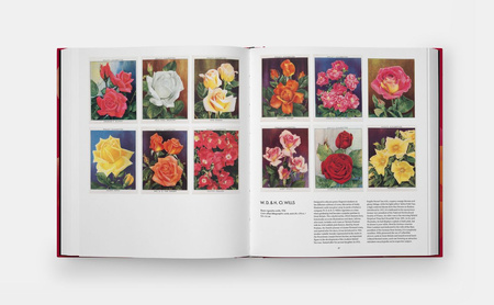 The Rose Book wer. angielska