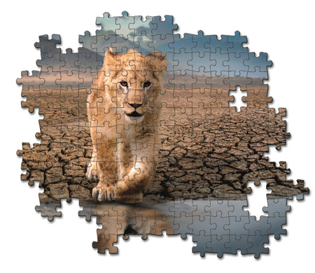 Puzzle 300 Super Self Reflection 21719