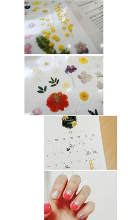 Naklejki Deco Kwietne