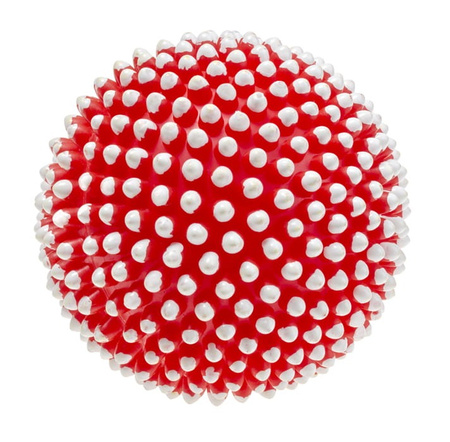 Piłka z kolcami piszcząca  9,5 cm dla zwierząt 1szt.mix