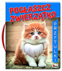 Pogłaszcz zwierzątko. Przytulki