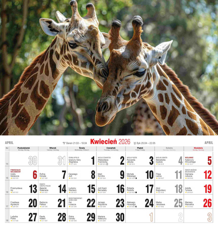 Kalendarz 2026 Przyjaciele KD-19