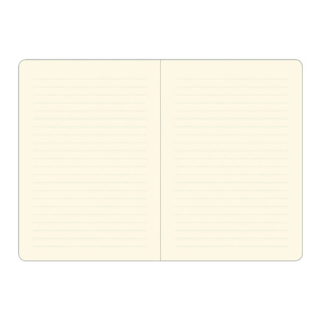 Notatnik Mini Kosmos Peter Pauper Press