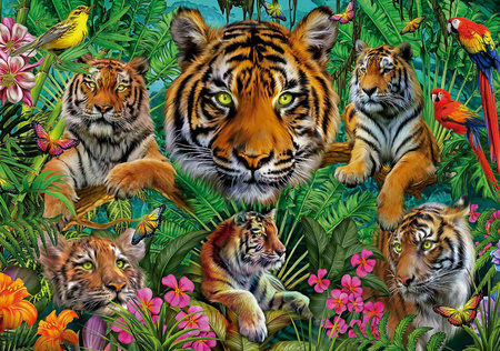 Puzzle 500 Tygrysy w dżungli 112783